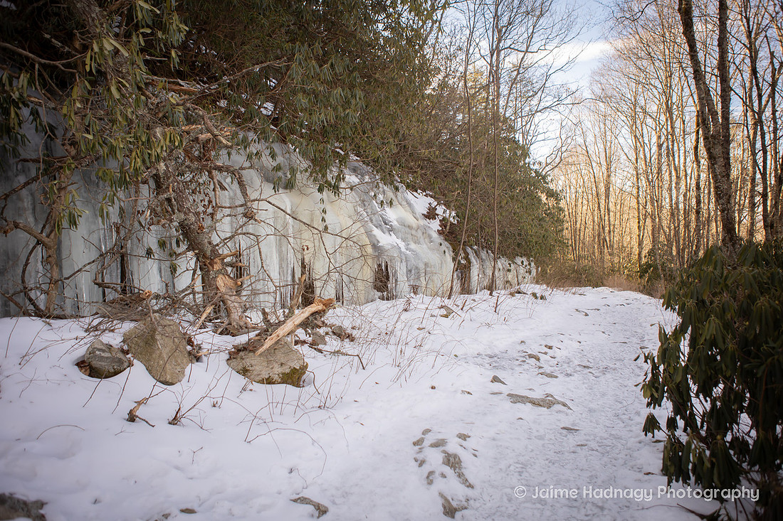 Winter Hiking Proposal | Cashiers Engagement Photographer