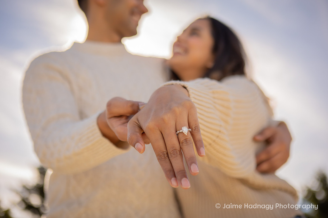 Romantic Proposal in the mountians | Asheville Photographer