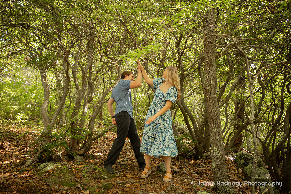 Forest Engagement Photos | Asheville Photographer