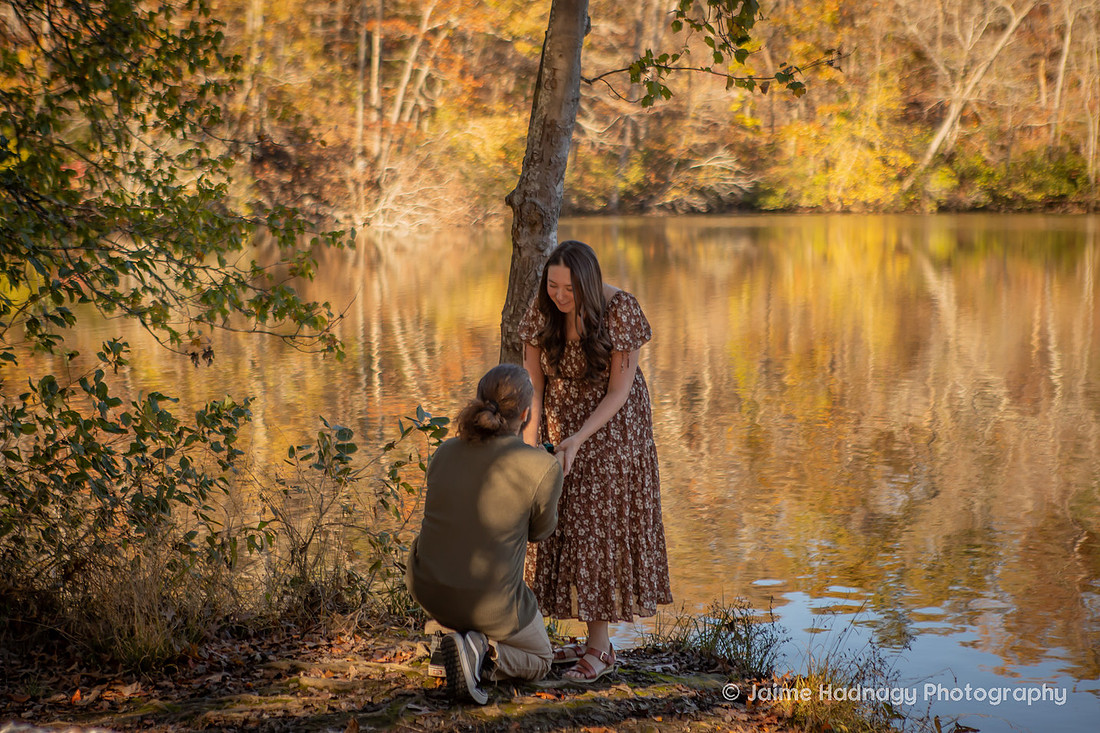 Surprise Proposal at Paris Mountain State Park