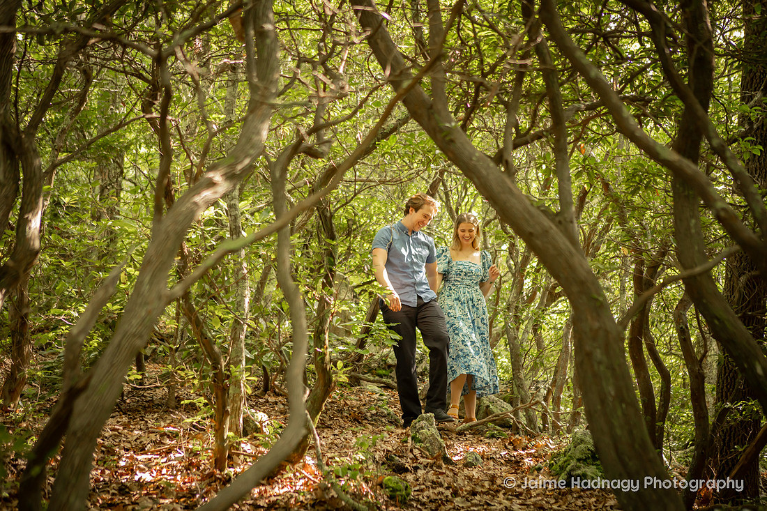 Asheville Engagement Photos in the Mountains | Blue Ridge Parkway | Photographer