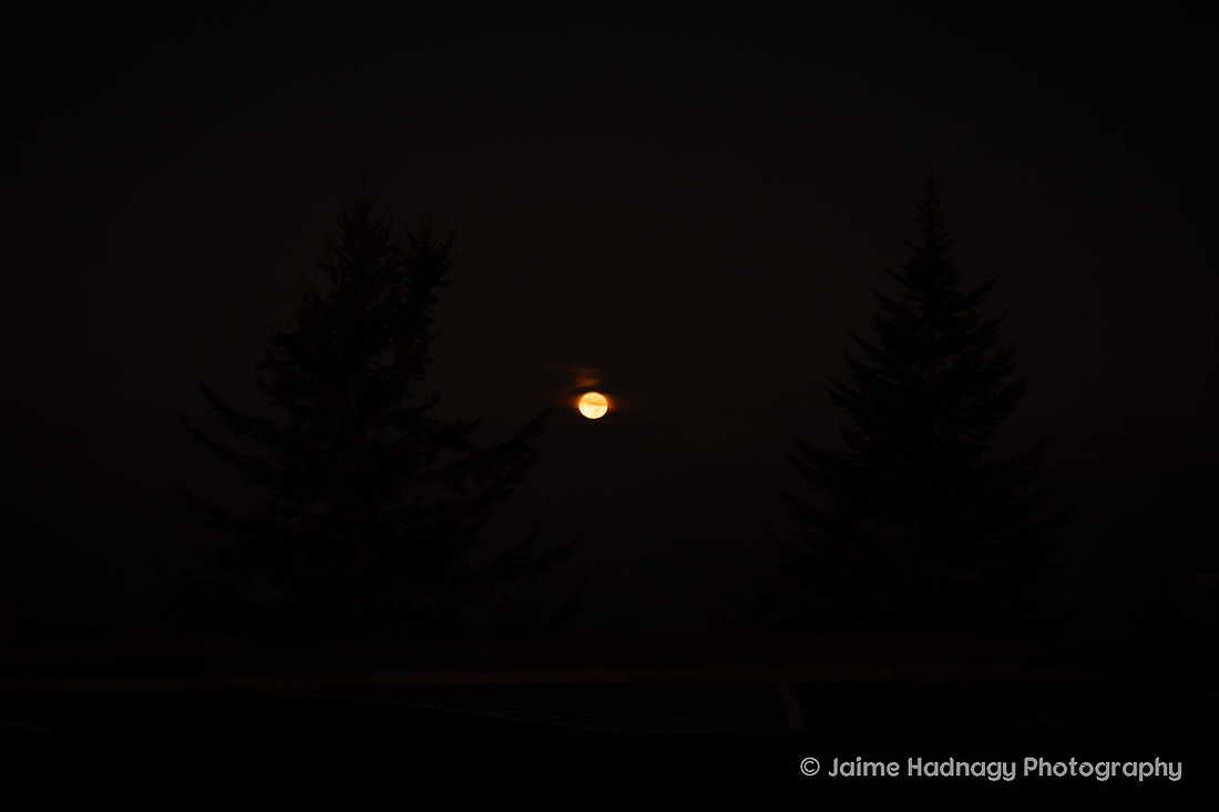 moon
