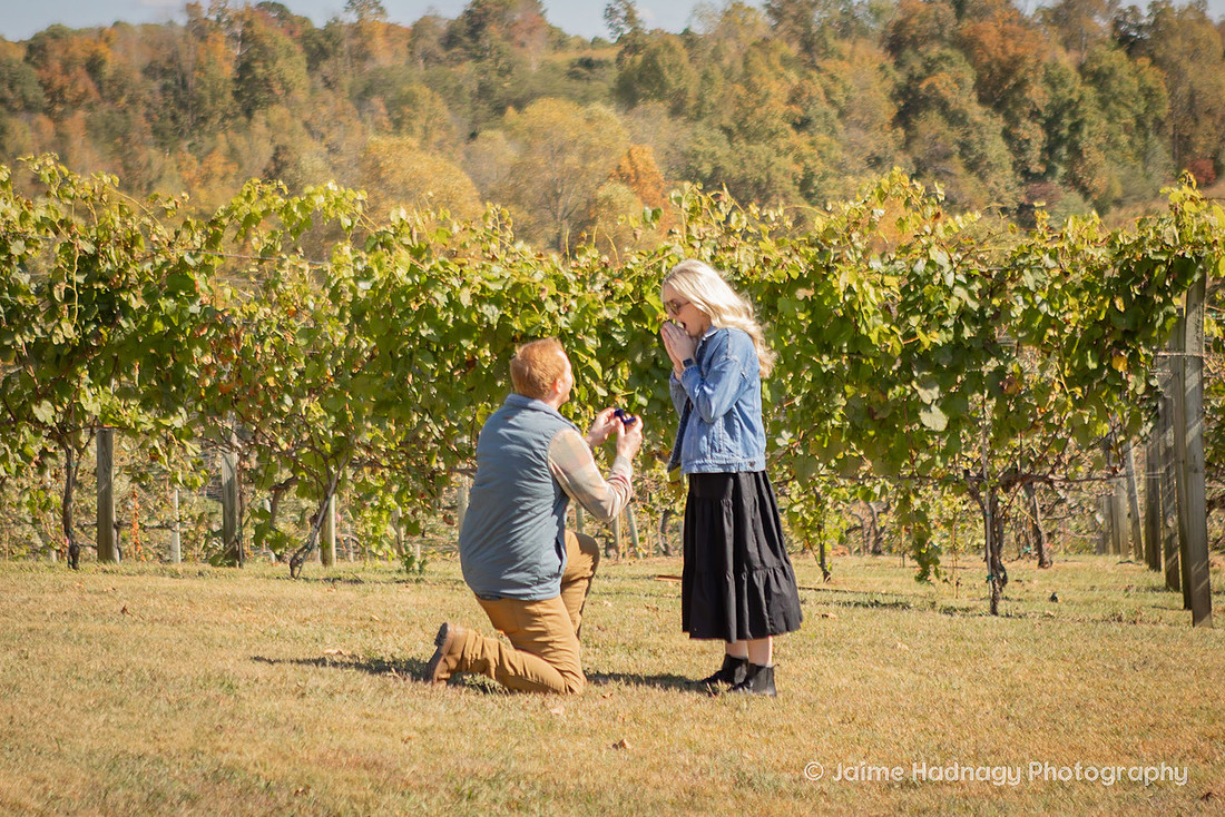Surprise Proposal at Silverfork Vineyard | WNC Engagement Photographer
